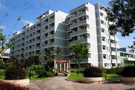 重庆大学生礼仪素养提暑假集训营