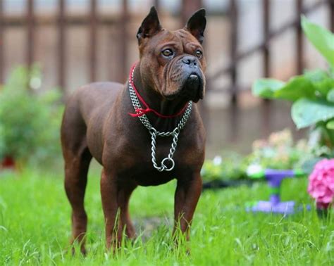 重庆形象气质培训