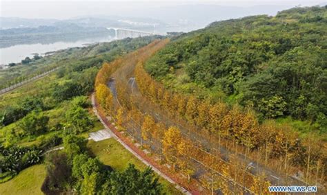 重庆雅思7分寒假班