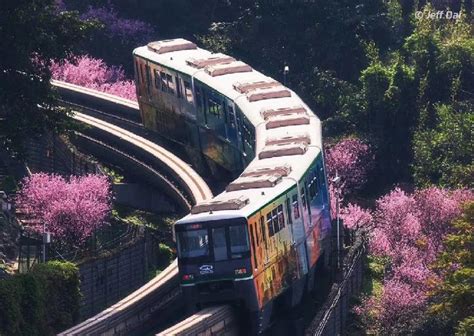 重庆雅思培训好