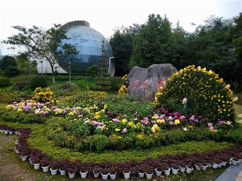 重庆**的园林景观设计