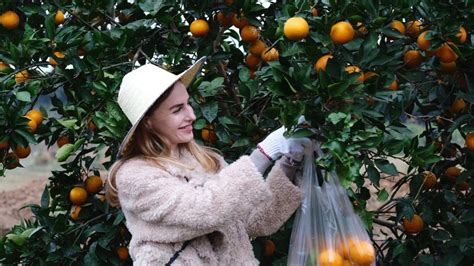 重庆学平面设计培训要多少钱