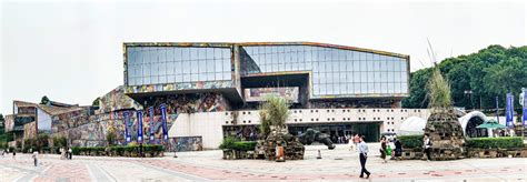 重庆针灸培训学院