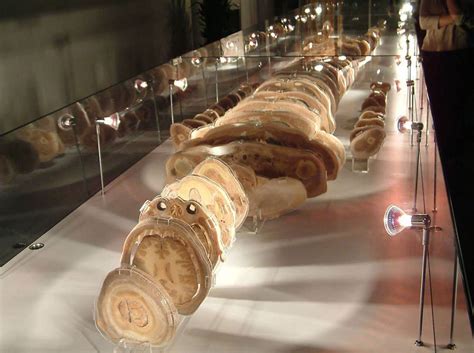 重庆市人力资源师培训