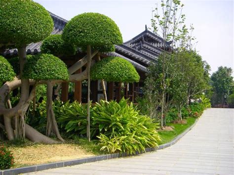 重庆青秀气质培训机构