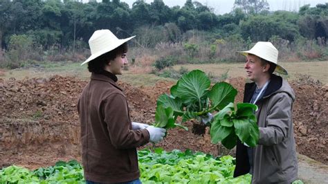 重庆学礼仪去哪里