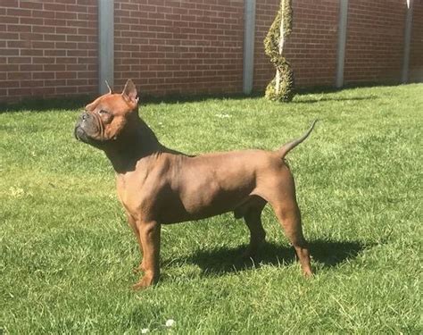 重庆化妆培训哪里好