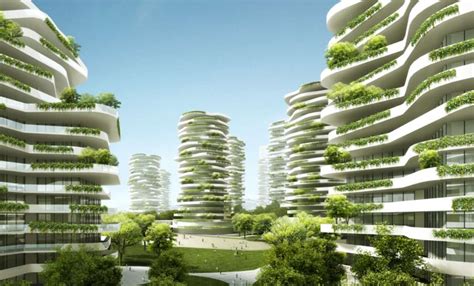 重庆中级塔吊学习