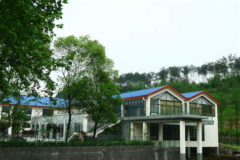 重庆青少年英语培训哪个好