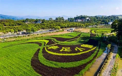 渝北区雅思培训