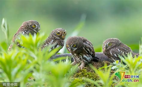 重庆成人口语培训班