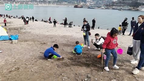 重庆儿童古筝培训