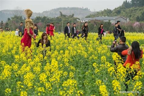 重庆烤脑花