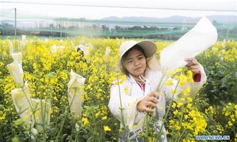 重庆韩式半考证