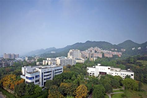 重庆专业plc