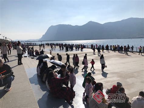 昆明市学托福寒假班培训课程