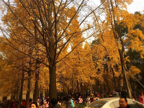 成都儿童创意绘画