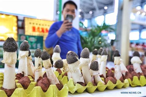 贵阳五大排名少儿主持哪家好？