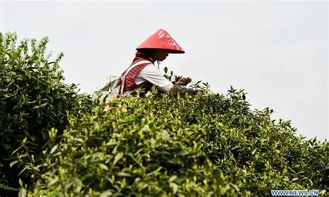贵阳珍珠奶茶创业全能培训地址