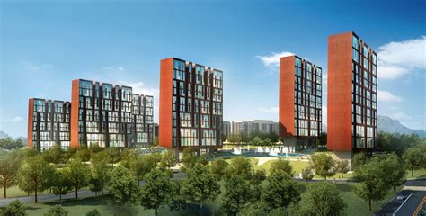 贵阳网页设计创业培训班