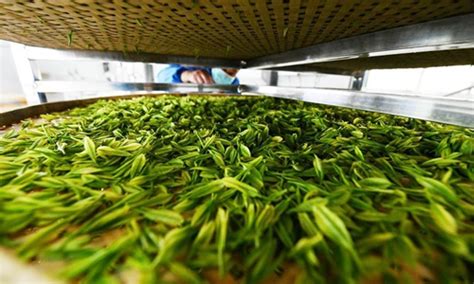 贵阳茶艺师周末考证班