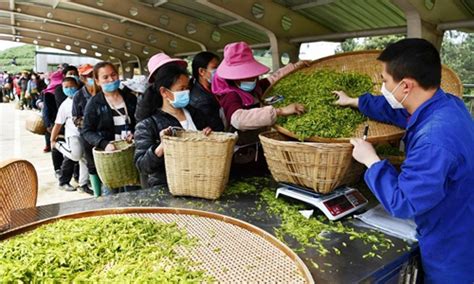 贵阳中级茶艺师技能实操就业培训大全