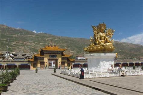 铜仁艺考高考培训