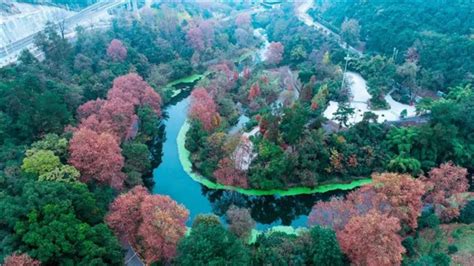 贵阳南明区摄影专业培训多少钱