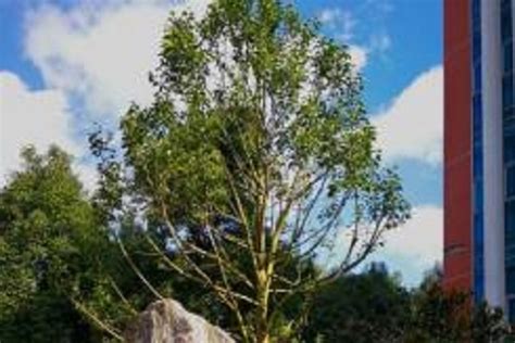 贵阳专业半强化入门学习班