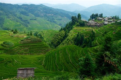 贵阳黔品包子培训多少钱