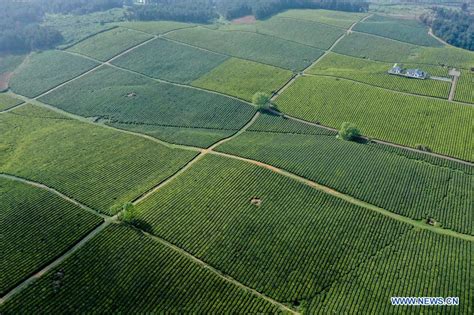 贵阳奶茶培训培训哪里好