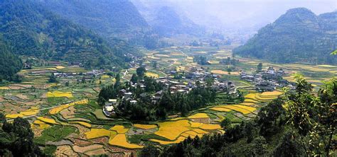 贵阳小儿推拿实战就业一对一培训