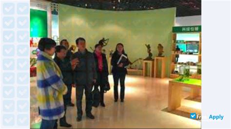 贵阳中医小儿推拿专业技能辅导费多少