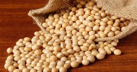 贵阳养生现磨豆浆培训大全