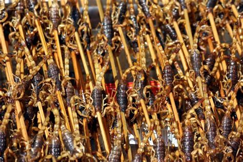 贵阳广西柳州螺蛳粉厨艺培训