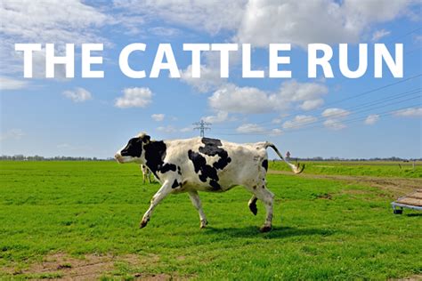 贵阳萝卜牛杂厨艺辅导入门培训