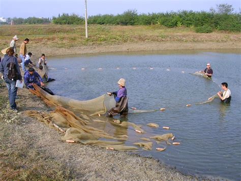 贵阳广东糖水系列强化培训中心