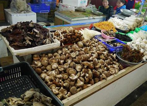 贵阳重庆石锅鱼培训大全