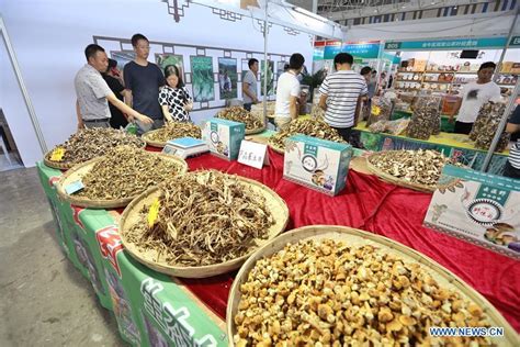 贵阳新手雅思10人保5.5冲6辅导费多少