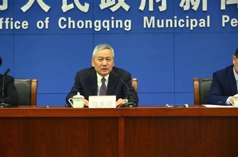 重庆少儿社交沟通康复训练