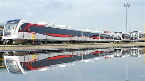 成都零基础线雕针剂注射培训学校