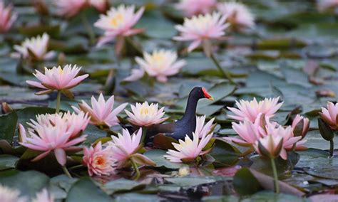 贵阳观山湖区mba培训多少钱