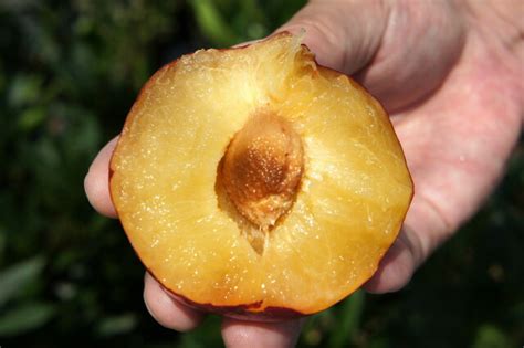 贵阳果汁饮品短期实践学习