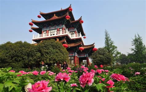 洛阳装饰设计师高级班学习
