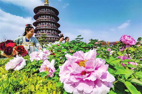 洛阳月嫂班学费