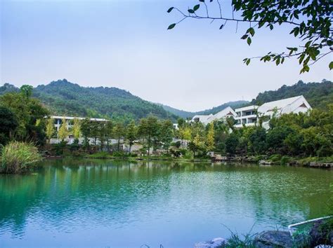 20郴州会计实操培训