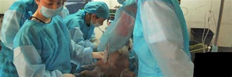 长沙化妆培训课