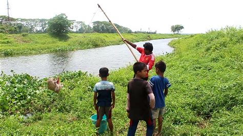 长沙正宗石锅鱼培训