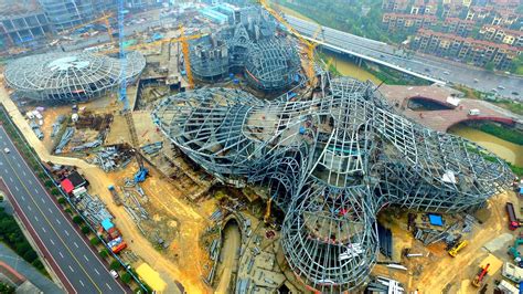 【长沙开心花甲培训_开心花甲培训】-长沙开心花甲培训