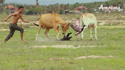 长沙正宗烤鸭技术培训班,学烤鸭技术多少钱